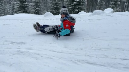 Canvas Print - Happy children, going down the slope on a plastic sledge, speeding, happiness