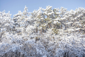 Sticker - Winter landscape