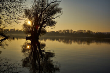 Canvas Print - sunset over the river with trees and sun