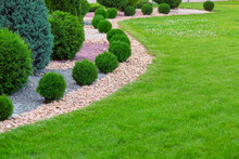 Landscape Bed Of Garden With Wave Ornamental Growth Cypress Bushes Gravel Mulch By Color Rock Way On A Day Spring Park With Green Lawn Meadow, Nobody..