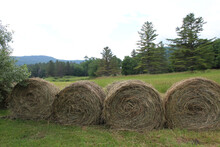 Four Hay Bales At A Farm In Plymouth Notch, Vermont In Summer