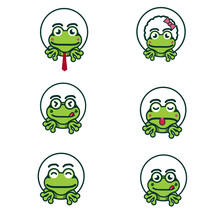 Set Of Frog Expression Vector
