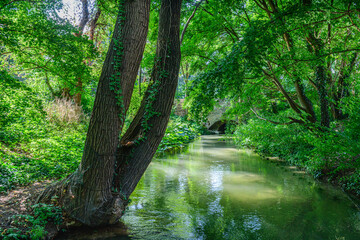  Impressionen aus und um Augsburg