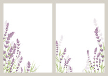 Lavender Flowers. Vector Illustration, Banner With Wildflowers, Background For Postcard Or Invitation.