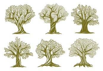 Sticker - Old olive, willow or oak trees engraved icons. Trees with twisted trunk and branches, big crown, green foliage and exposed roots vector set. Garden, farm orchard or forest ancient plant silhouette