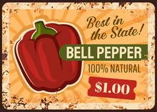 Bell Pepper Farm Rusty Metal Vector Plate. Sweet Bell Pepper Red Fruit. Natural Food, Vegetables Organic Seeds Shop Or Grocery Store Banner, Vegetable Farm Price Sign, Grungy Plate With Rust Texture