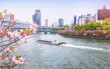Aqualiner in Okawa river and cherry blossom festival held in Japan Mint, viewed from Kawasaki bridge in Osaka, Japan
