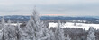 Panoramabild einer Winterlandschaft