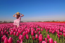 Woman Tourist In Pink Dress And Straw Hat Standing In Tulip Field
