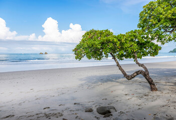 Wall Mural - Manuel Antonio beatiful tropical beach with white sand and blue ocean. Paradise. National Park in Costa Rica, Central America.