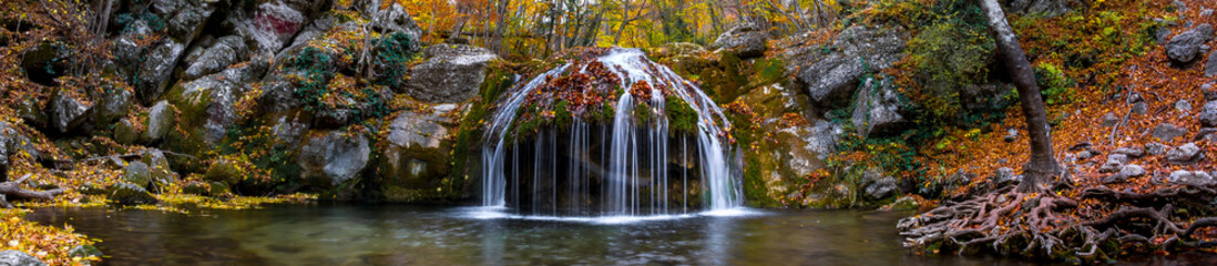 Wall Mural - Waterfall in the forest