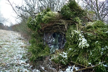 Wall Mural - A view of a camouflaged lens in the bushes when photographing wildlife