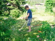 © papava - Boy, 11 years old, mows the grass with an electric scythe on the lawn in the yard of a house on a sunny summer day.