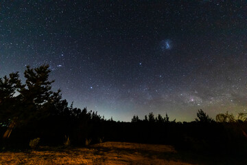 Wall Mural - the amazing night sky full of stars. an awe scenery in the outdoors with the forest, the trees and t
