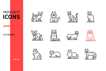 Wall Mural - Cat breeds - modern line design style icons set