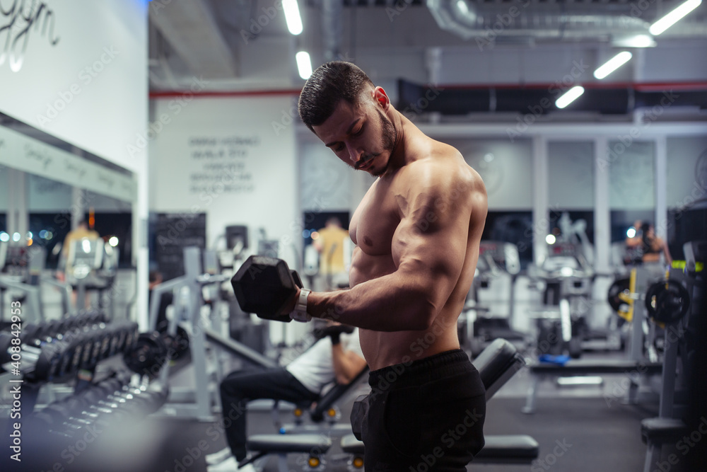 Young bodybuilder working out with dumbbells weights at the gym - obrazy, fototapety, plakaty 