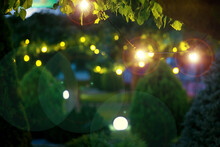 Illumination Holiday Lights Glare On Garden With Electric Garland Bulbs Of Warm Light Glow With Round Bokeh Evening Illuminate Night Scene Of Outdoor Landscaped Park With Thuja Bushes And Tree Nobody.