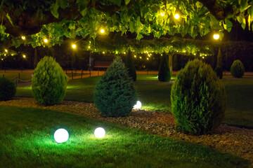 illumination park light garden with electric ground ball lantern with stone mulch and thuja bushes in outdoor landscaped park with garland of warm light bulbs, illuminate evening scene nobody.