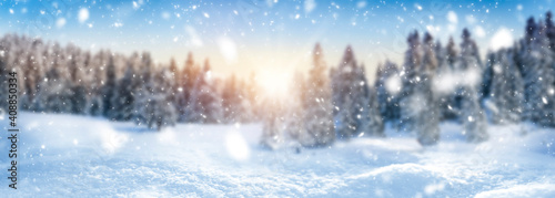 Fototapeta na szkło Winter landscape background and snow, frost wide panorama with free space for your text