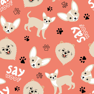 Vector seamless pattern with Chihuahua, Pomeranian, paw prints and lettering 'Say Woof' on pink background. Cute dogs illustration for fabric, textile, background, wallpaper