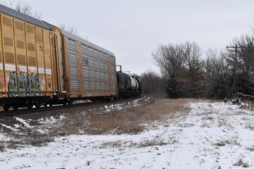 Wall Mural - Train Cars