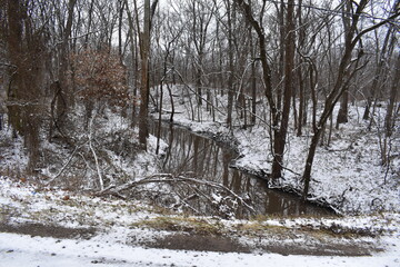 Canvas Print - Snowy Stream