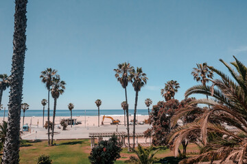 Wall Mural - palm trees in Santa Monica