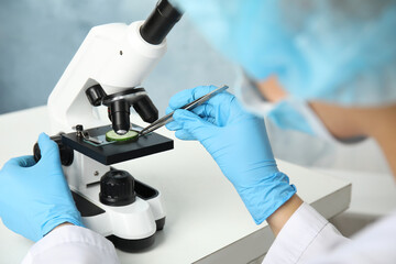 Wall Mural - scientist inspecting slice of cucumber with microscope in laboratory, closeup. poison detection
