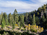 Fototapeta Na ścianę - High angle view of some landscape around Lake Tahoe area