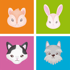 Poster - pet set icons, cat dog rabbit hamster color background