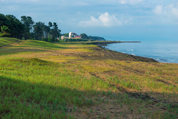 Wall Mural - beach and sea on a sunny day in the shade of the pines