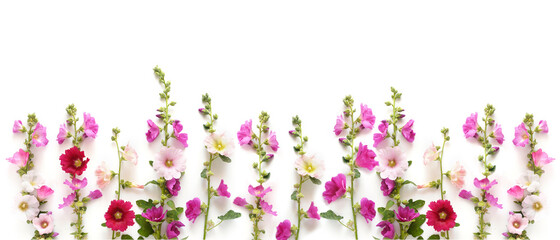 Wall Mural - Creative floral flat layout, top view, banner. Floral festive background. Mallow branches isolated on white background.