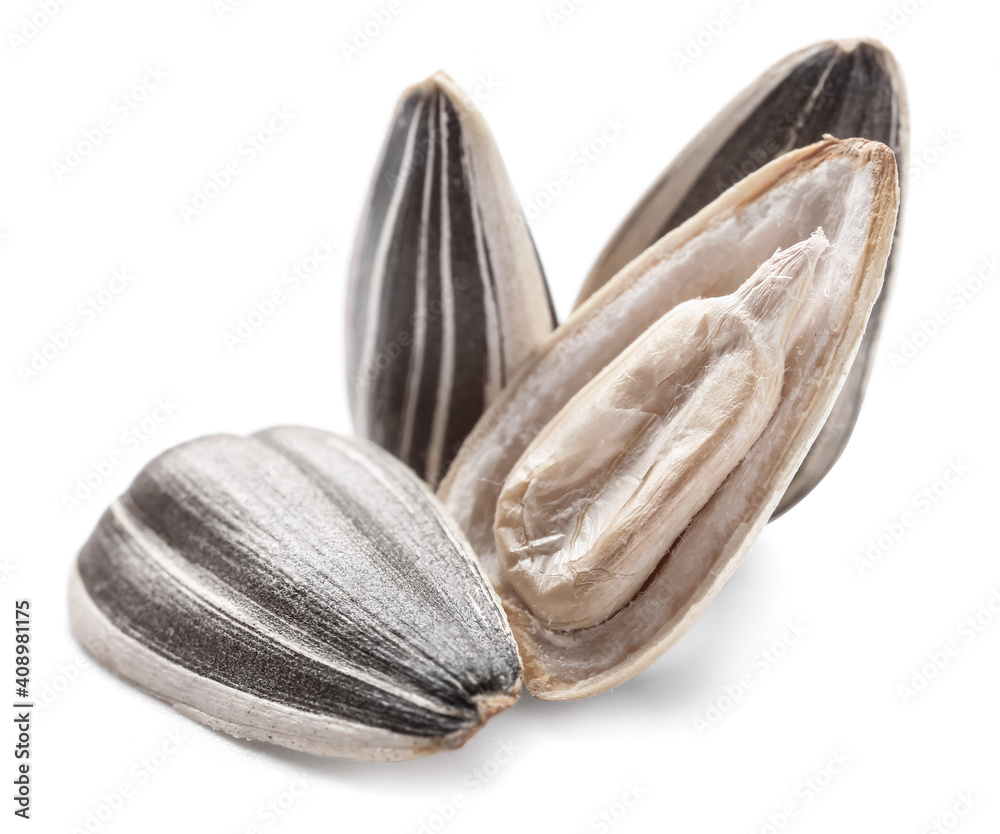 Sunflower seeds on white background
