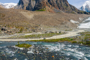 Sunny alpine landscape with confluence of two various mountain rivers. Beautiful clear creek flows into dirty river. Colorful mountain scenery with confluence of two different rivers among rich flora.