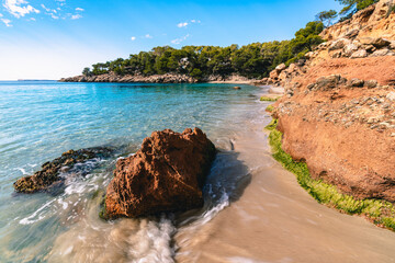 Sticker - Cala Saladeta beach. Ibiza.