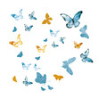 Flock of silhouette butterflies on white