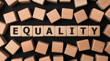 Poster - Word EQUALITY written on wood block,stock image