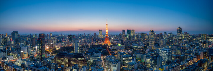 Panoramic view of the Tokyo skyline at night