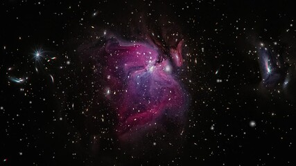 Wall Mural - nebula cloud in the shape of a butterfly moving in the universe.
