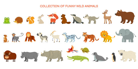 Collection of funny wild animals. Zoo. Animals of tropical countries, North America and the Arctic.