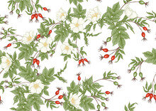 Rose Hips With Flowers And Berries Seamless Pattern. Graphic Drawing, Engraving Style. Vector Illustration.