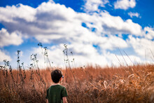 A Boy Walking Through A Field Of Tall Grass On A Cloudy Day