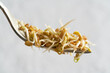 Sprouted fenugreek seeds on a fork