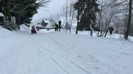 Canvas Print - Happy children, going down the slope on a plastic sledge, speeding, happiness