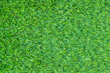 Green artificial grass texture natural background