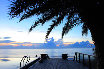 Sticker - Seaside palm trees with swimming pools and wooden walkways, at dawn the sky is blue and cloudy. The sun is about to rise Fresh and relaxing atmosphere