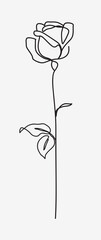 Aufkleber - One line drawing. Garden rose with long stem and leaves. Hand drawn sketch. Vector illustration.	