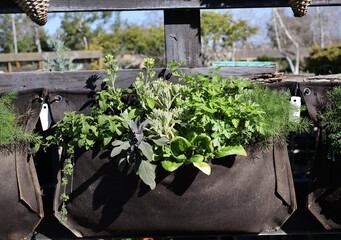 Poster - hanging garden