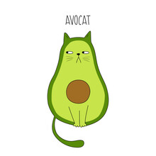 Funny Cat Avocado. Acocat. Vector Illustration. Cartoon Avocado. Good For Posters, T Shirts, Postcards.