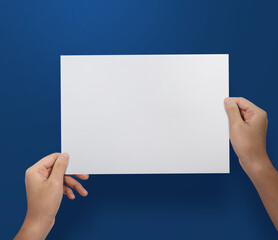 Wall Mural - Hands holding paper resume for job application at blue background.